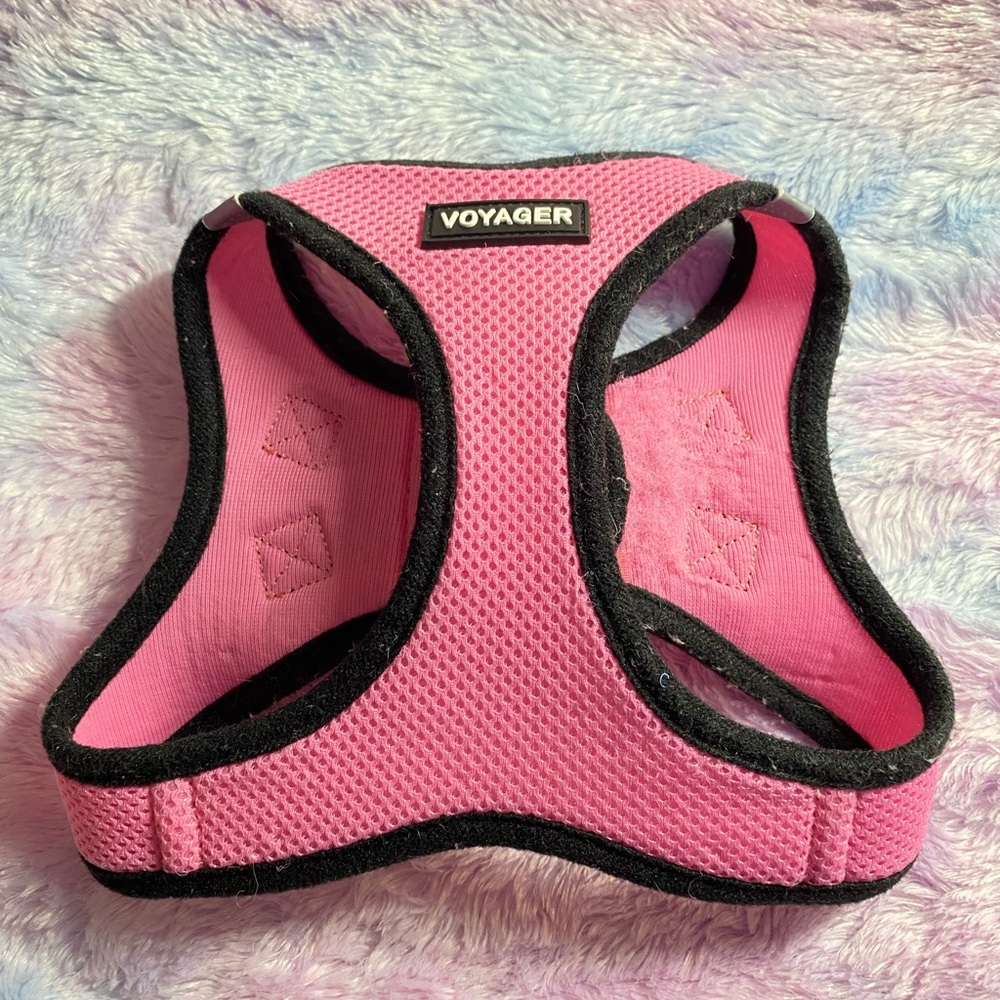 Dog Harness